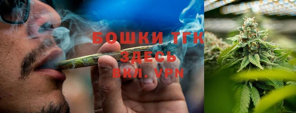ПСИЛОЦИБИНОВЫЕ ГРИБЫ Богданович