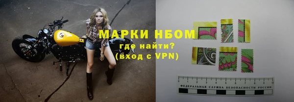 ПСИЛОЦИБИНОВЫЕ ГРИБЫ Богданович