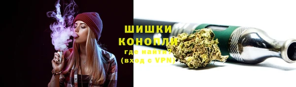 ПСИЛОЦИБИНОВЫЕ ГРИБЫ Богданович