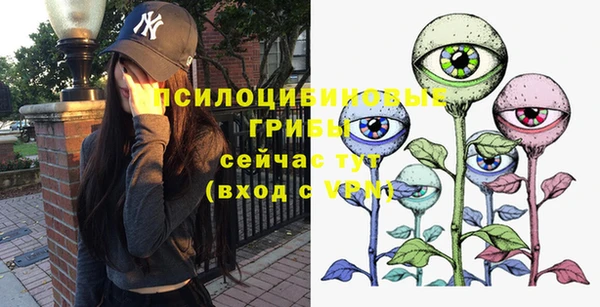 ПСИЛОЦИБИНОВЫЕ ГРИБЫ Богданович