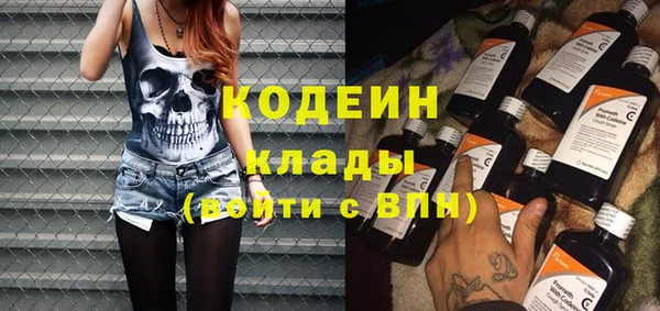 ПСИЛОЦИБИНОВЫЕ ГРИБЫ Богданович