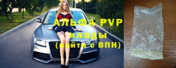 ПСИЛОЦИБИНОВЫЕ ГРИБЫ Богданович
