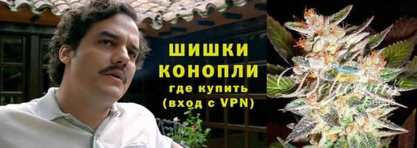 индика Белокуриха