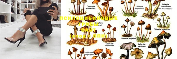 мяу мяу кристалл Богородицк