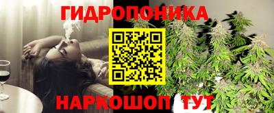 mdpv Славгород