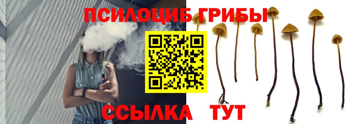 дарнет шоп  Галлюциногенные грибы GOLDEN TEACHER  Вход с VPN  Острогожск 