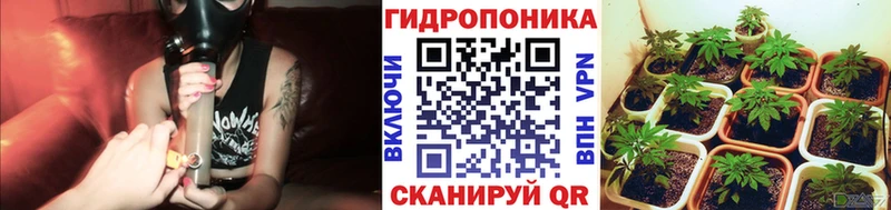 Конопля ГИДРОПОН Острогожск