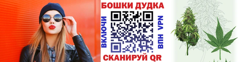 где продают наркотики  Острогожск  Бошки марихуана White Widow 